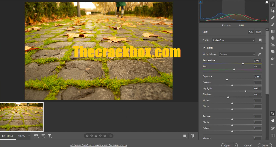 Adobe Camera Raw Crack + Serial Key Free Download